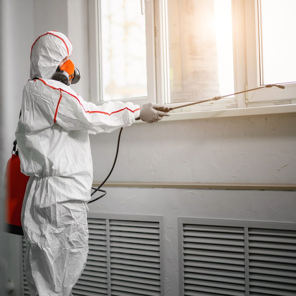 Asbestos Abatement and Remediation Contractors in Novato, CA